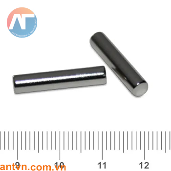 Nam châm Neodymium hình trụ tròn D4x20mm N35