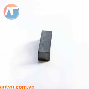 Nam châm Ferrite chữ nhật 8x8x25mm