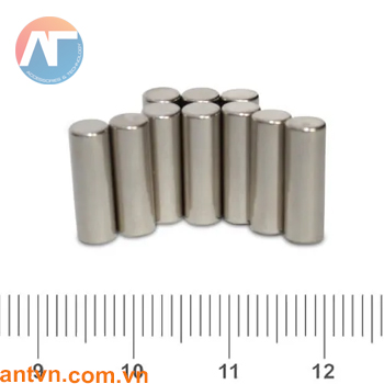 Nam châm Neodymium hình trụ tròn D5x15mm N35