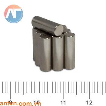 Nam châm Neodymium hình trụ tròn D5x14mm N35