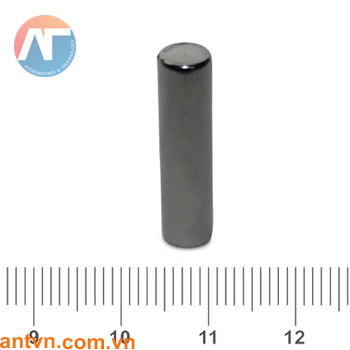 Nam châm Neodymium hình trụ tròn D5x20mm N35