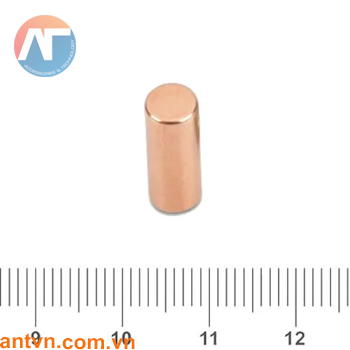Nam châm Neodymium hình trụ tròn D6x15mm N35